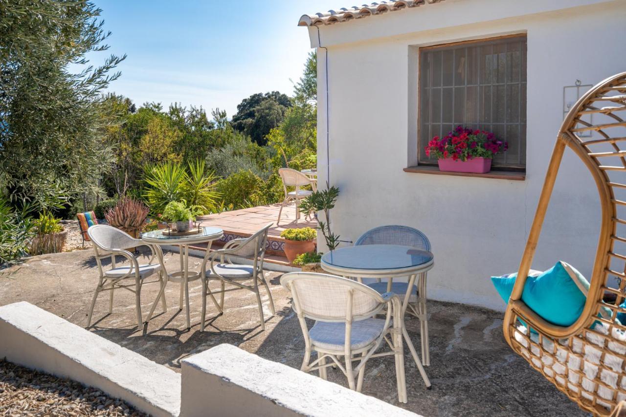 Bed and breakfast Hacienda La Buena Vida En