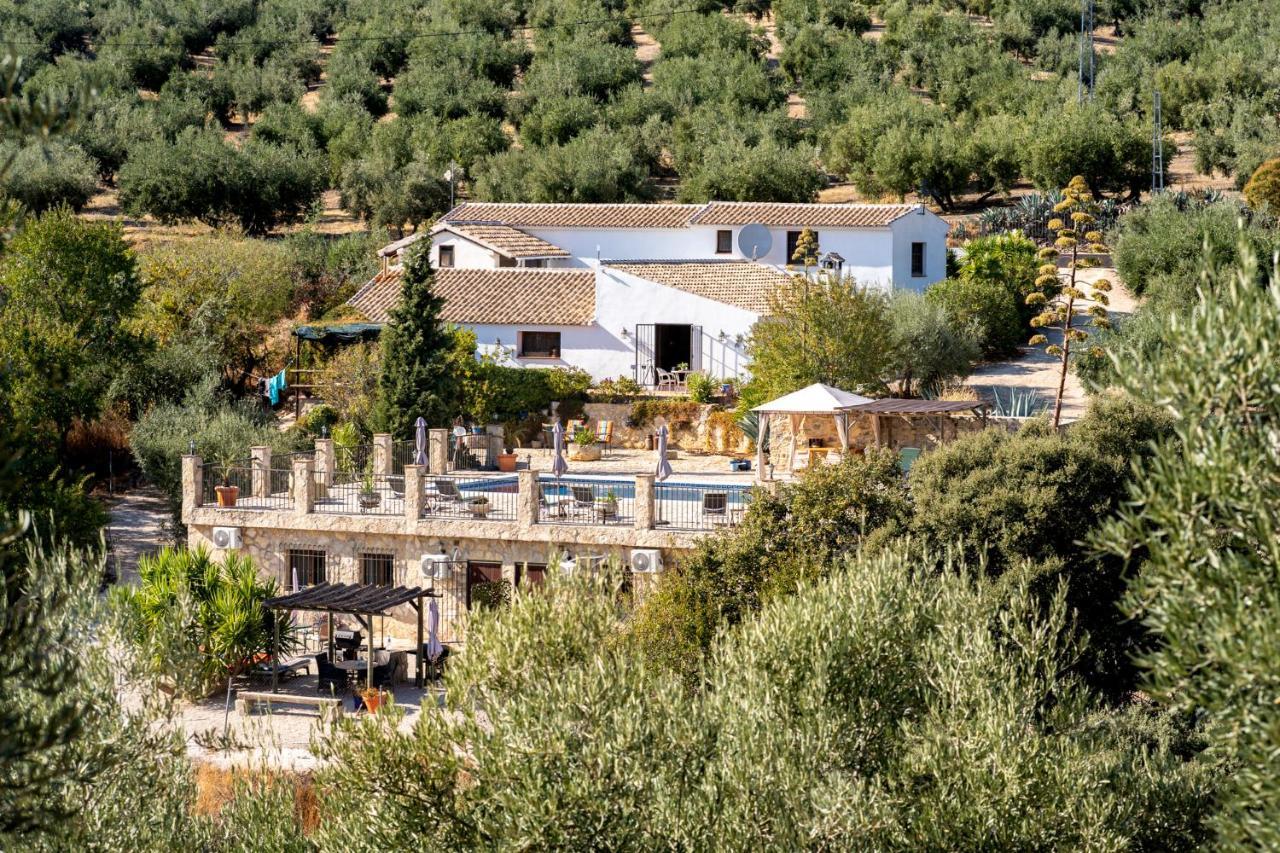 Hacienda La Buena Vida En Bed & Breakfast Algarinejo